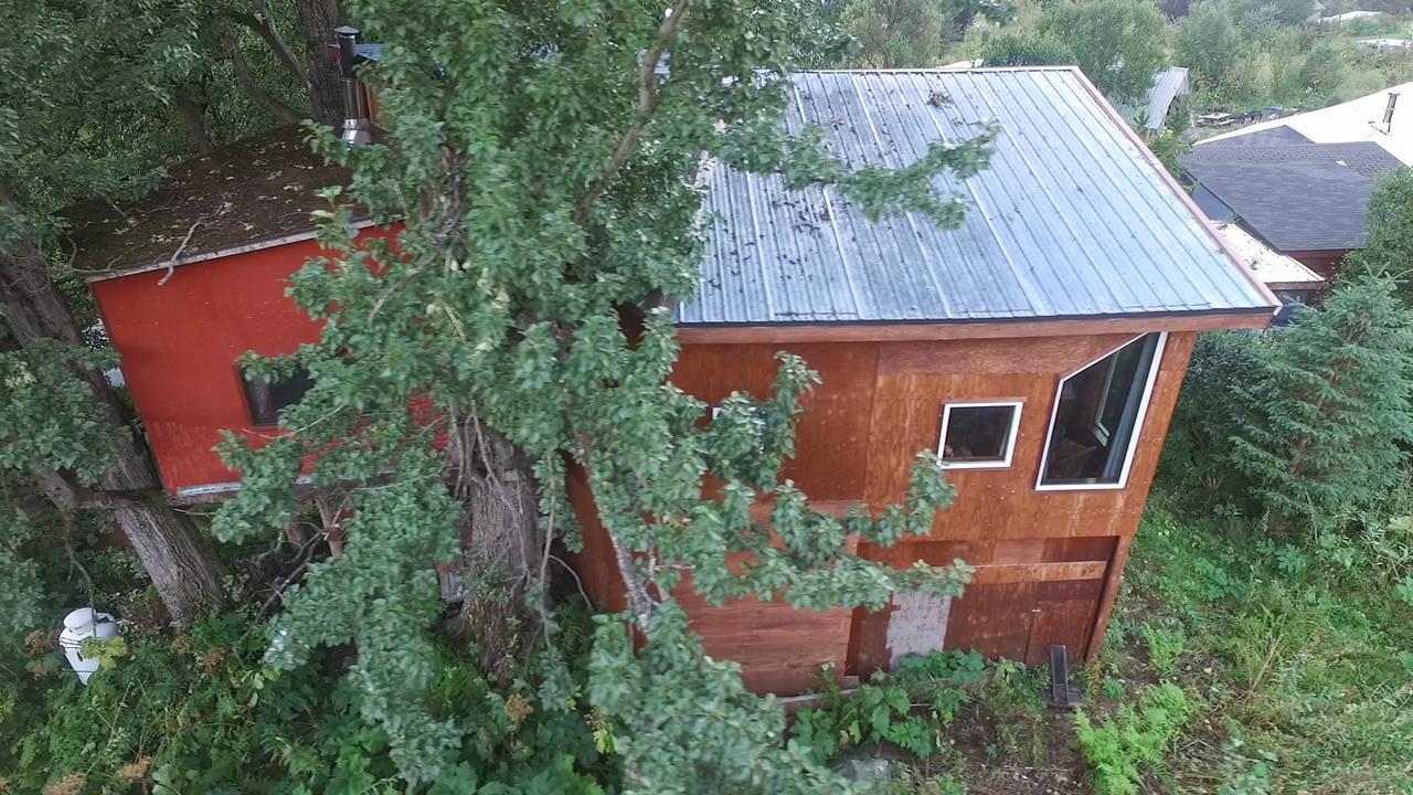 Cottonwood Cabins Fritz Creek Eksteriør billede
